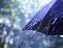 Весь день дождь: погода на среду