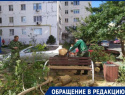 Жительница Геленджика благодарит  коммунальные службы за помощь в ликвидации последствий норд-оста
