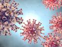 Новая опасность после перенесенного COVID может коснуться геленджичан