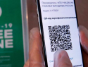 Как покупка поддельных QR-кодов может обернуться для геленджичан штрафами и даже тюрьмой