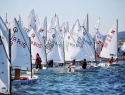 Получила статус международной: в Геленджике стартовала парусная регата