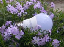 Более 50 улиц в Геленджике отключат от элекроснабжения на всю ночь