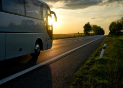 «Спрос на них только начинает расти»: эксперты рассказали об автобусных турах на курорты