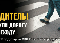 Водителей учат уступать дорогу пешеходам в Геленджике