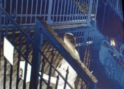 Нетерпеливый мужчина вырвал провод домофона во дворе МКД