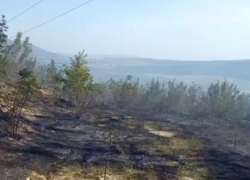 Второй пожар за неделю: в Кабардинке сгорело не менее гектара леса