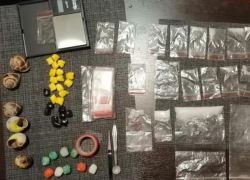 Улитки-перевозчики: геленджичанин прятал наркотики в раковины моллюсков