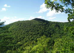 Ноев ковчег в Геленджике: новая страница в истории, или очередной миф