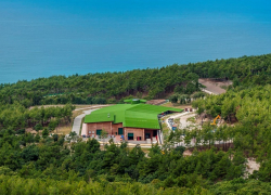 Виноградники Дивноморска обзавелись новыми владельцами