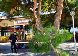 Порывистый ветер: В Геленджике действует штормовое предупреждение