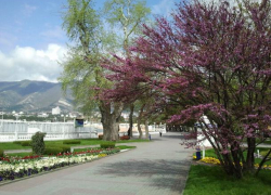 Погода в Геленджике: даже в такую погоду можно быть творческими