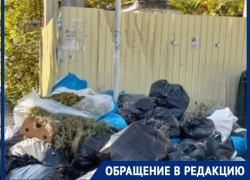 Жители Геленджика недовольны скопившимся мусором в центре города 