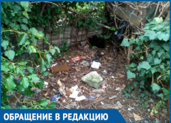 Безобразия питейного заведения терпят два дома в Геленджике