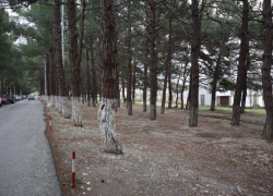 В Кабардинке появится новый сквер