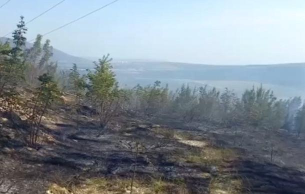 Второй пожар за неделю: в Кабардинке сгорело не менее гектара леса