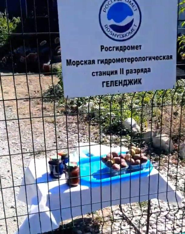 В геленджикском гидрометцентре инжиры продают
