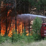 Красноярский губернатор, призвавший не тушить лесные пожары, получил неожиданную поддержку