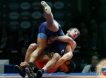 Россияне досрочно выиграли Кубок мира по вольной борьбе