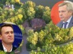 Навальный выпустил расследование о ростовском губернаторе Голубеве