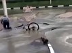 Велосипедист провалился под асфальт из-за прорыва коллектора в Рязани