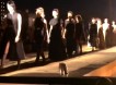 Кот на подиуме пометил новую коллекцию от модного дома Christian Dior