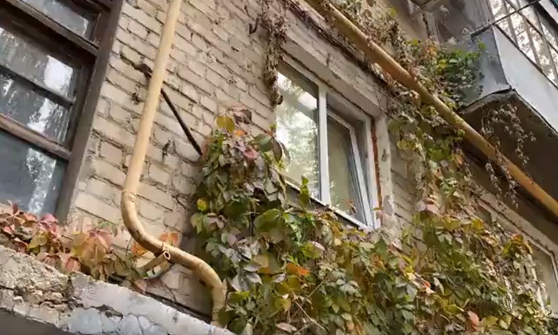 Показали путь в школу убитой в Саратове девочки