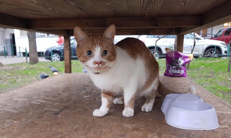 После публикации