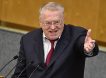 Жириновский предложил расширить границы самообороны