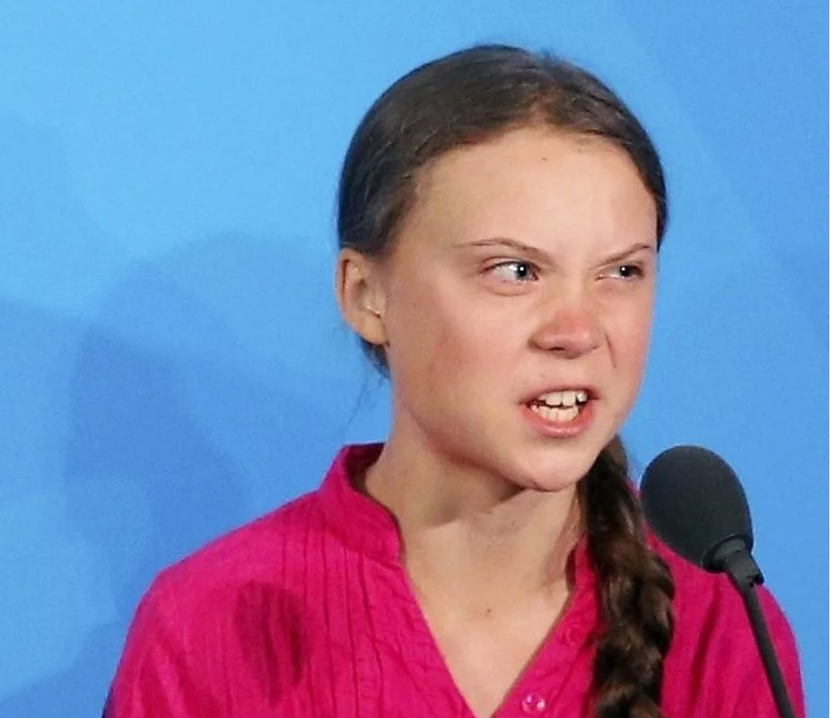 Декан журфака Уральского университета попросил Грету Тунберг спасти россиян