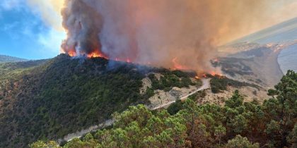 Все вокруг горит: база отдыха «Фрегат» в Краснодарском крае сгорела полностью