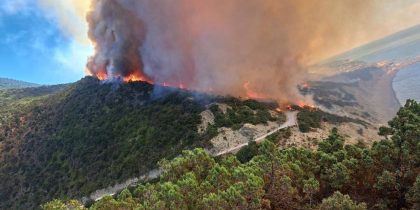 Тут ад: в сети распространили ужасающие кадры пожара под Новороссийском